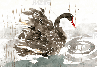 ҒʳĺZˮī