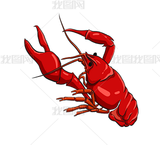 rСrʳʳ