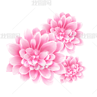 yƷЧֲзɫֲ