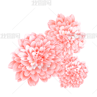 yƷ仨Чɫֲ