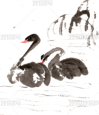 ɫZˮī