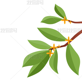 ﹝ƽ𻨘֦