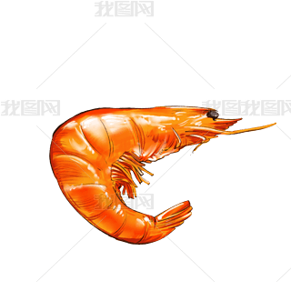 Lrʳr