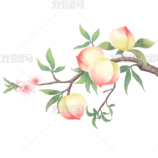 rӹ