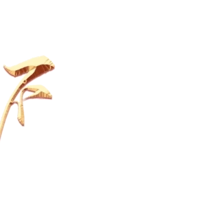 ӛʹ h h һ һ һh һ܊c