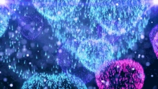 ĐYLEDӑB