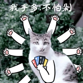 pʮһp11؈ُﲻ¶ևNɪpʮp12