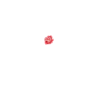 Fĵ_`ŻӈDgif