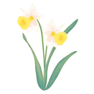 ɫˮɻGֲӈDgif