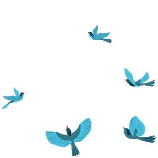 ɹ(ji)ϦwBϲo˹(ji)oӈDgif