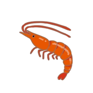 ʳrrr