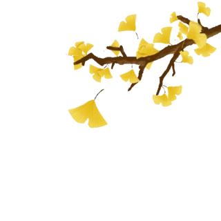 ~y~ΨSɫӈDgif