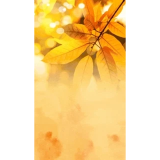 ֽ~Qҕl󌑌SɫӈDgif