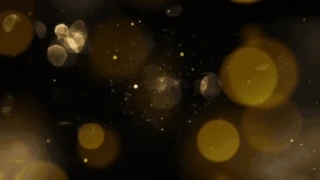 ɫӰЧù_ҕlӈDgif
