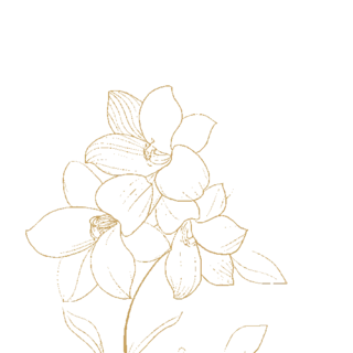 ֲﻨܻ~ӽɫӈDgif