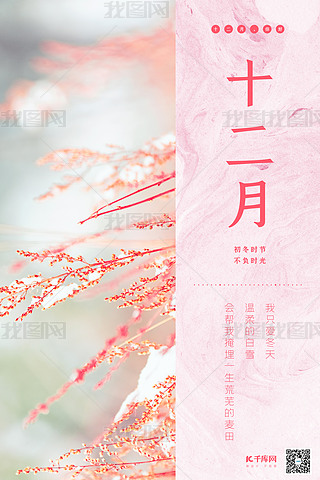 ʮ·ɫСº(bo)