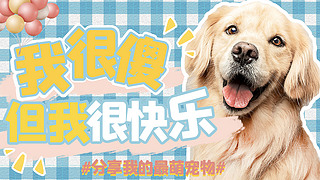 Ȍﹷ{(ln)ɫzӰDMҕl