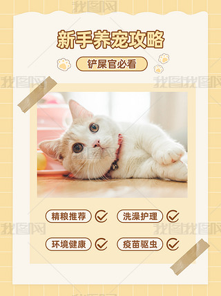 B(yng)؈\SɫɐNL(fng)Сt