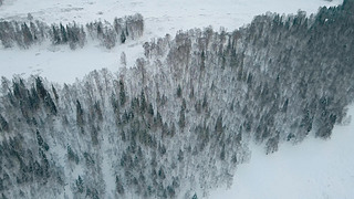 ѩѩ