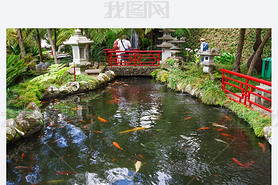 Lake with Koi fish in Tropical Garden Monte Palace. Funchal, Madeira, Portugal