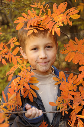 boy in a bright fall foliage park