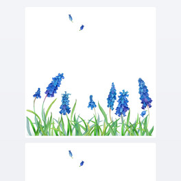 rȦpľGݡrˮˇg(sh)