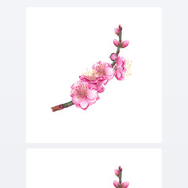 ˮ÷.