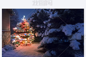 A hey snow falls quietly on this Christmas Tree, accented by a soft glow and selective blur, illus