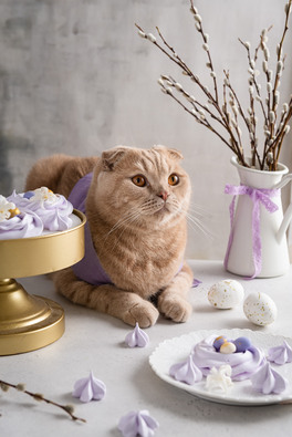 ͻ옷ĸͻģR󡣿ɐ۵؈ڹϷuĵ׵CcıĿgYƷꡢ