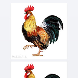 ˮʵĹu