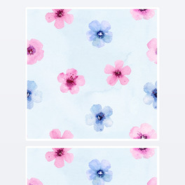 ˮʟopy