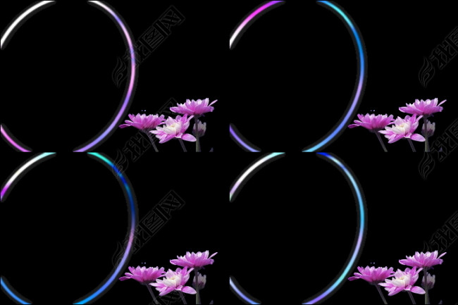 婚庆边框花纹高清动态素材(图片编号:1016428