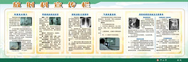 原创放射科宣传栏版权可商用