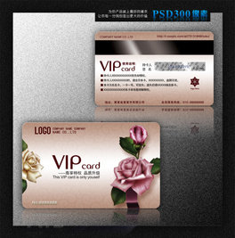 VIPTFePVCOӋ