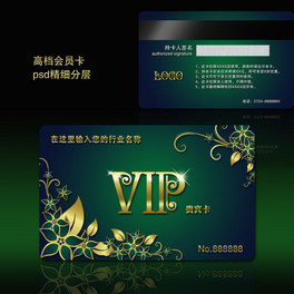 ߙnT vip 㯟Fe