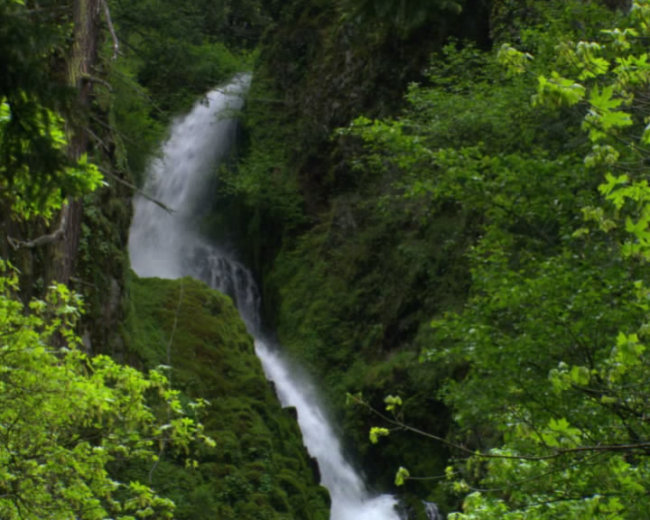 山间泉水视频