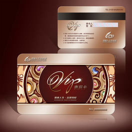 ٸ|VIPFeOӋ