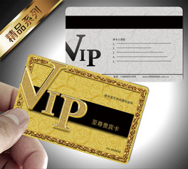 VIPFe