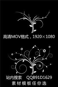 黑底白花生长温馨爱情婚礼LED视频素材(图片