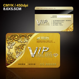 WʽߙnL(fng)VIPģO(sh)Ӌ(j)