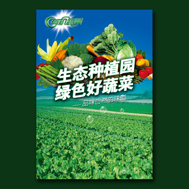 有机蔬菜海报图片设计素材_高清psd模板下载(103.53mb