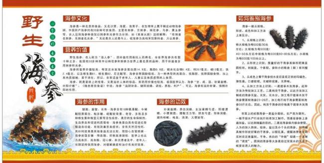 野生海参图片模板下载(图片编号:11392901)_广