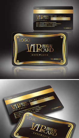 WʽVIPFeO(sh)Ӌ(j)ģ