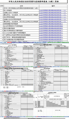 企业清算所得税申报表(含公式)