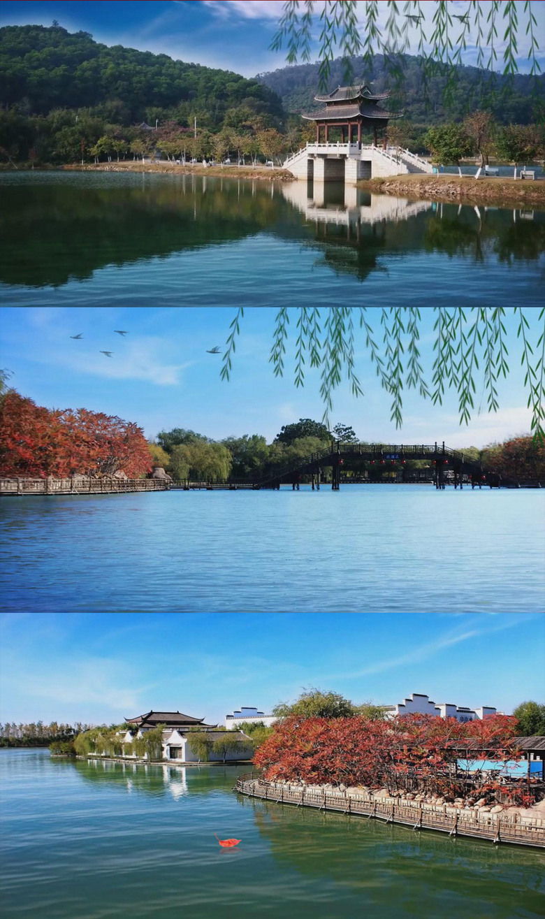 免费的风景视频素材网站 true