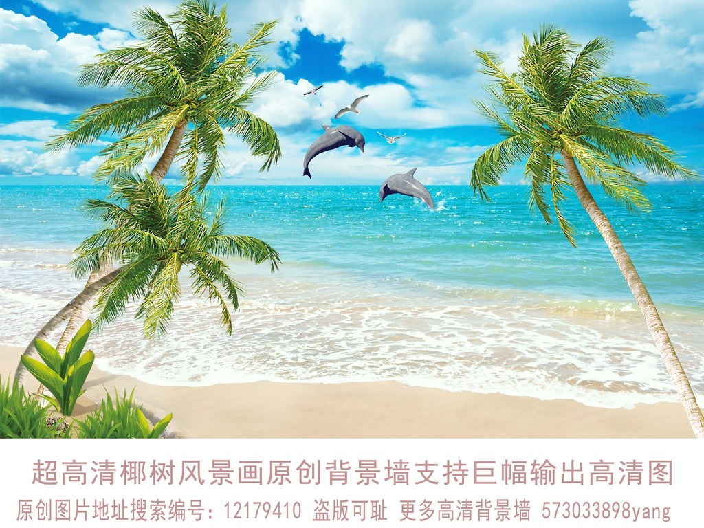 海豚湾高清下载