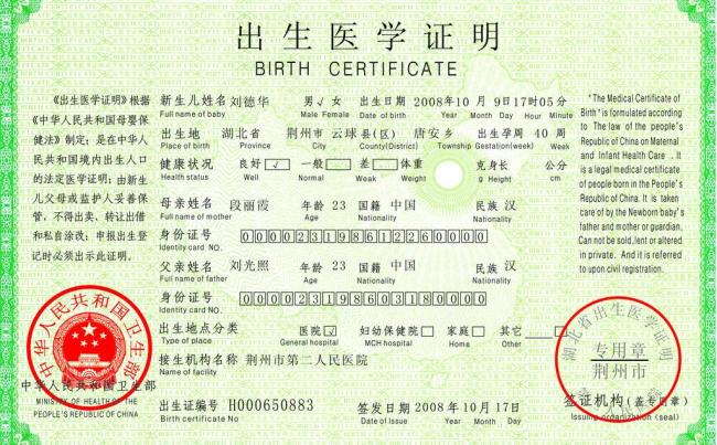 出生医学证明图片模板下载(图片编号:1243266