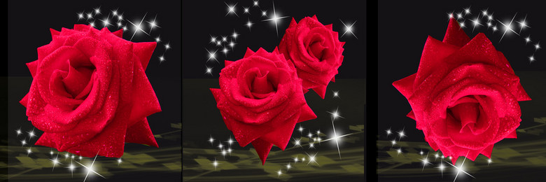 冷艳玫瑰花卧室三联无框画(图片编号:1244961