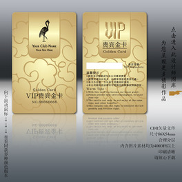 BFeBVIP