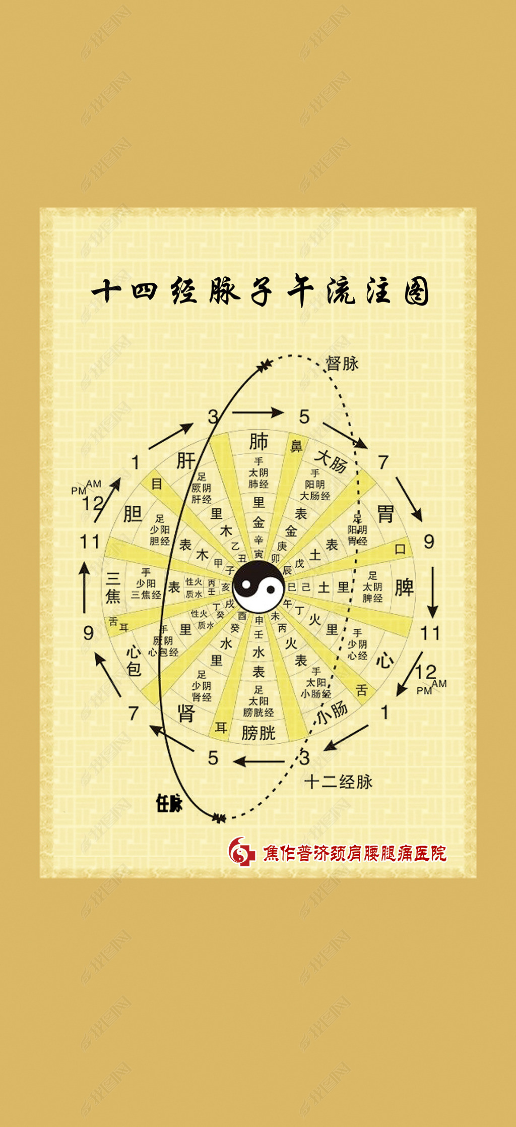 十四经脉子午流注图